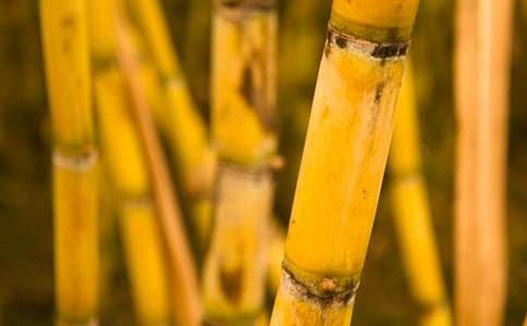 ��������ġ����15ƪ��