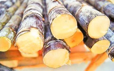 ���������15ƪ�����䣩