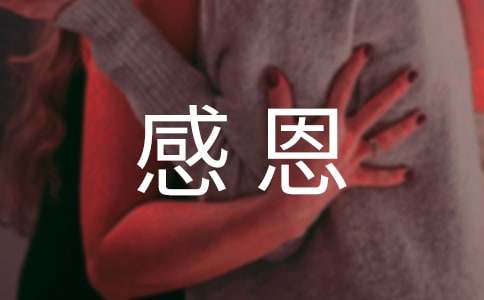 感恩父母的爱作文3篇