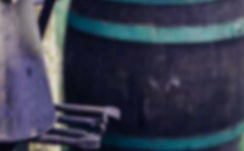 ����ʵϰ���漯����ƪ