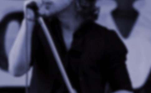 鸟儿是大自然的歌手小练笔作文-鸟作文