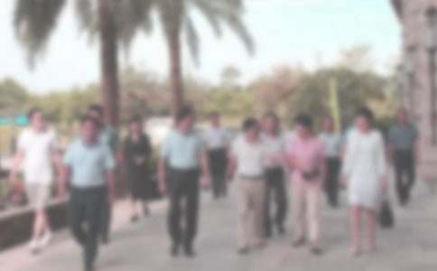 ���ֲ̾�ѯ�����Ľ�����