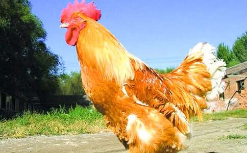 �󹫼����ġ���ѡ15ƪ��