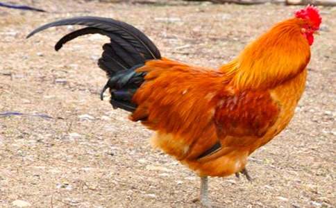 �󹫼�����[��]