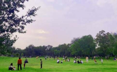 ��٪�޼͹�԰���ۺ��2ƪ�����䡿