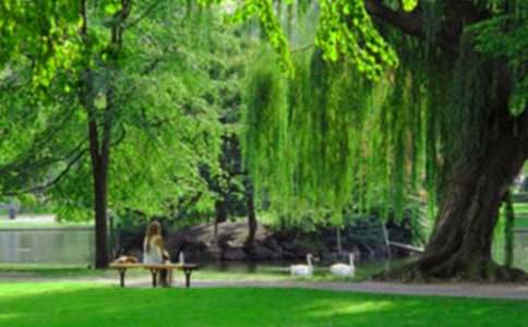 �Ƽ�һ���õط���԰����7ƪ