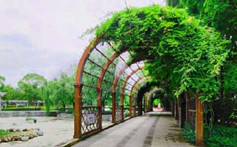 ˮ�Ϲ�԰���δ�