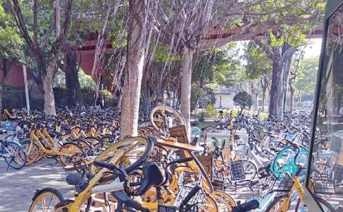 关于共享单车的倡议书(精选17篇)