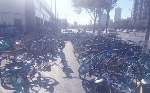 ������������ͣ������