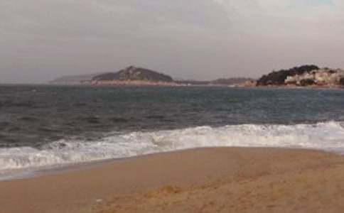 �����쵼�δʼ���15ƪ