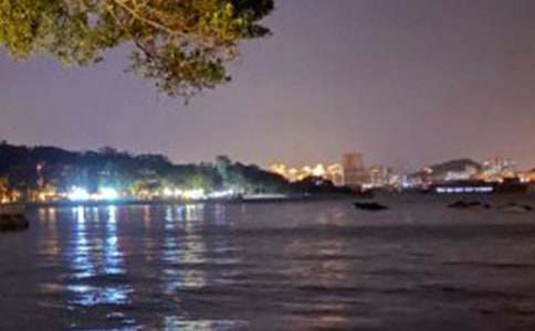 ���Ź����쵼�δ�(8ƪ)