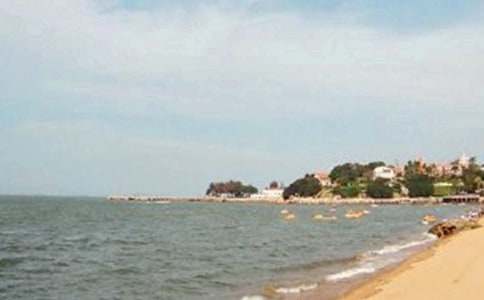 ���Ź����쵼�δ�8ƪ