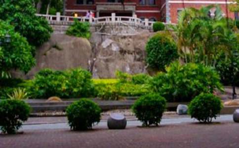 �������Ź����쵼�δ�8ƪ