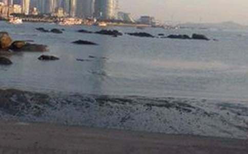 福建鼓浪屿导游词