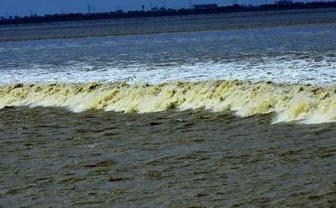 观潮导游词12篇