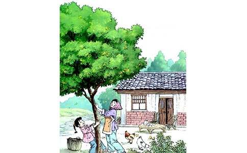 �����꡷����̰���Ʒ���