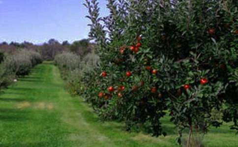 ��԰ת�ú�ͬ