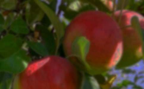 ���˹�԰�а���ͬ7ƪ�����㡿