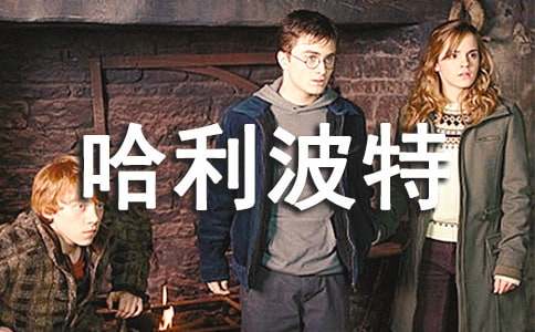 《哈利波特》观后感15篇