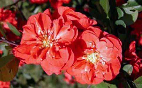 [����]���㺣�Ĺۺ��