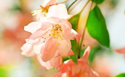 ���Ļ��Ļ����ȫ