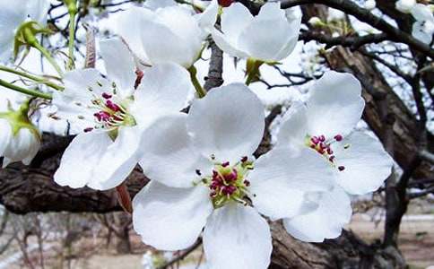 ���㺣�ĵĹۺ�У���ѡ35ƪ��