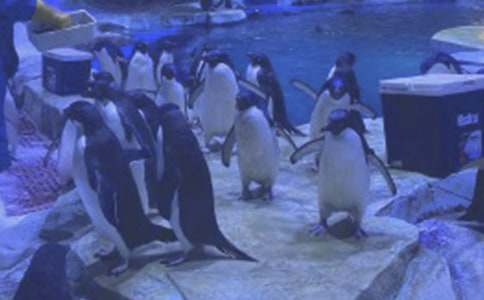 ��ۺ���԰���δ�4ƪ