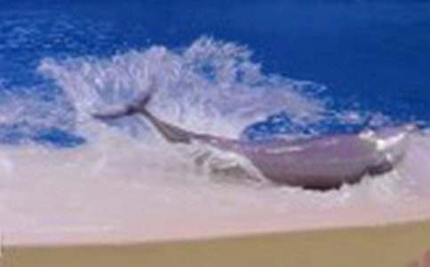 ����ɫ�ĺ��ൺ������У���ѡ49ƪ��