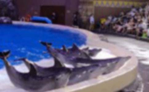 《蓝色的海豚岛》读后感(通用15篇)