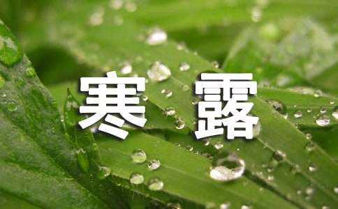 寒露节气经典祝福语