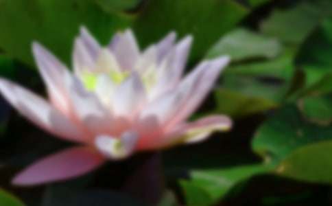 �ɻ��̰����ĺϼ���ƪ