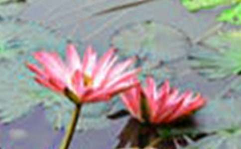 �йغɻ��̰����10ƪ