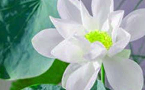 �йغɻ��̰�������ƪ