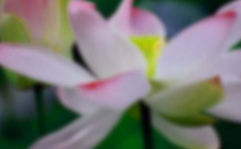 ���ɻ����̰�����