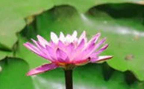 [����д��]�ɻ�������������