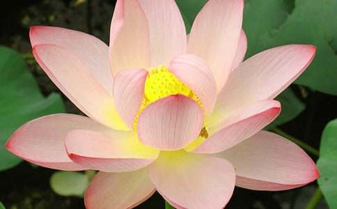 �ɻ��̰�ģ�弯����ƪ