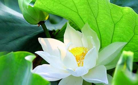 ���ر����ɻ��̰�3ƪ