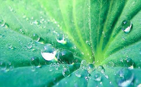 ��ʵ�á�����ҶԲԲ���̰�3ƪ