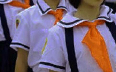 ��ͨ�ã�Сѧ����ѡ������ලԱ���Ը�10ƪ