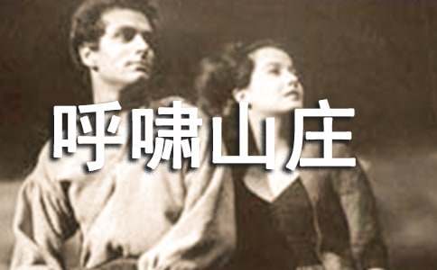 读了《呼啸山庄》有感