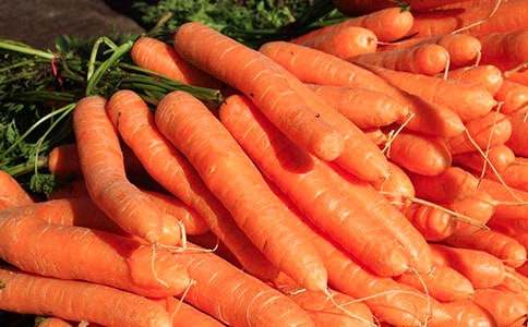 胡萝卜先生的长胡子故事续写作文精品(19篇)