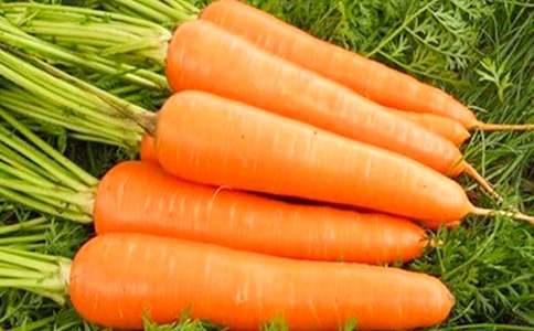 (ͨ��)���ܲ������ĳ����ӹ�����д����15ƪ