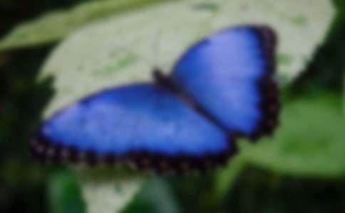 ��̨��ĺ����ȡ��̰�7ƪ