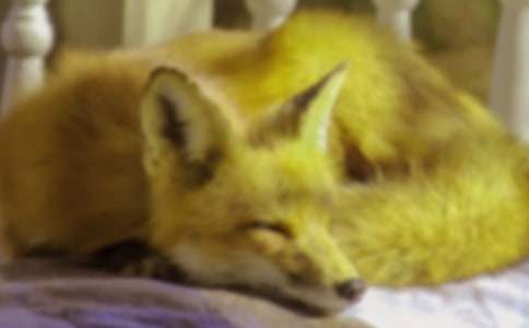 �˲���ĺ���ְֶ����