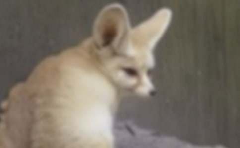 С����̰��㼯