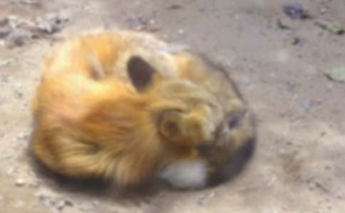 �а����Ժ����ֲ˽̰�7ƪ