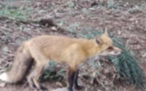 ���˲���ĺ���ְ֡������15ƪ[����]