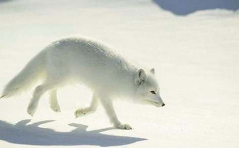 ����������ʿν̰����������ѻ��