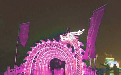 观花灯作文(必备15篇)