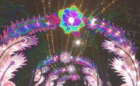 ����������(��ѡ)